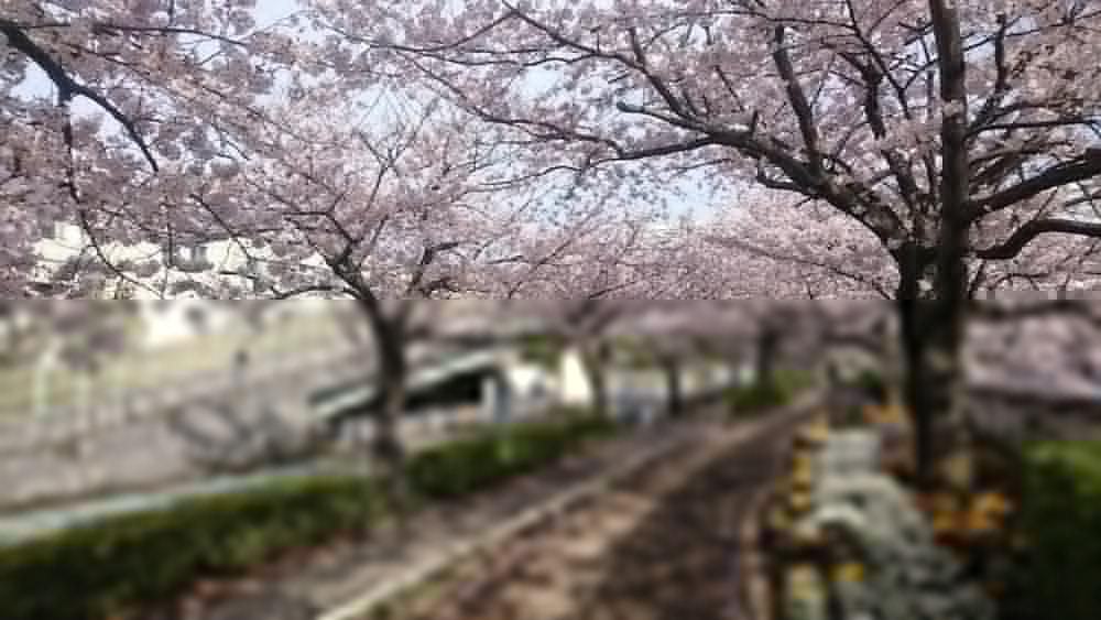 Urayasu Henn Na Hotel Maihama Tokyo Bay מראה חיצוני תמונה